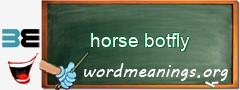 WordMeaning blackboard for horse botfly